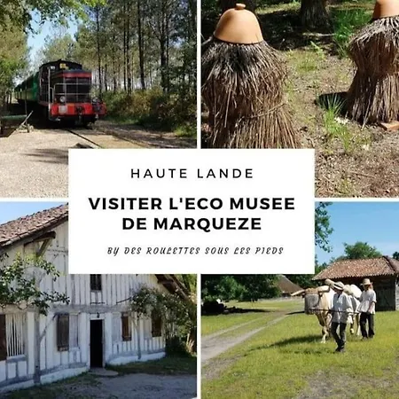 Villa Chenaie Des Lagunes Piscine & Prive Saint-Magne
