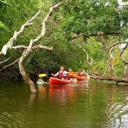 Βίλα Chenaie Des Lagunes Piscine Sauna &