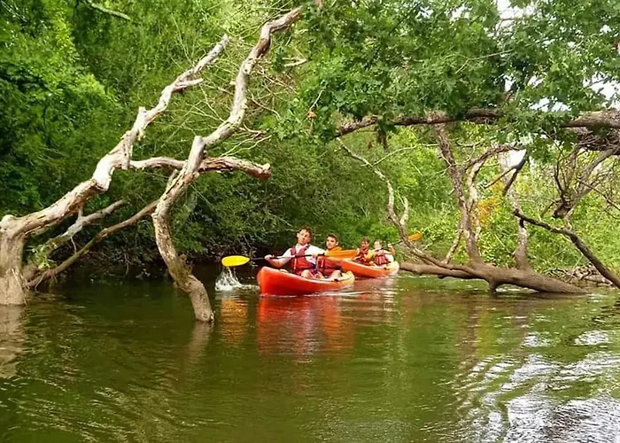 Villa Chenaie Des Lagunes Piscine Sauna &